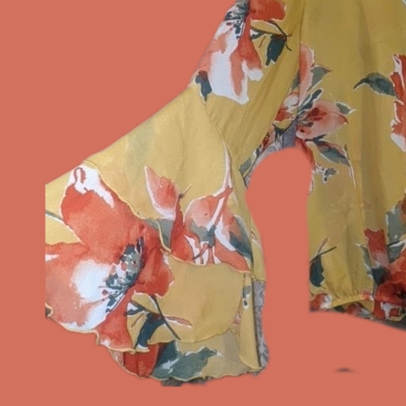 Cute sheer top with bell sleeves and elastic band around bottom - Picture 3 of 6